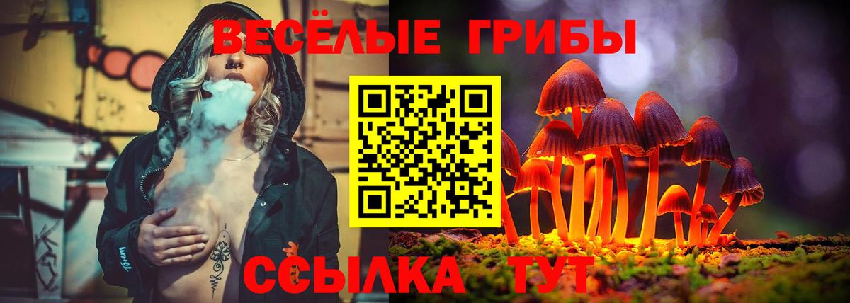 Псилоцибиновые грибы мицелий Грозный