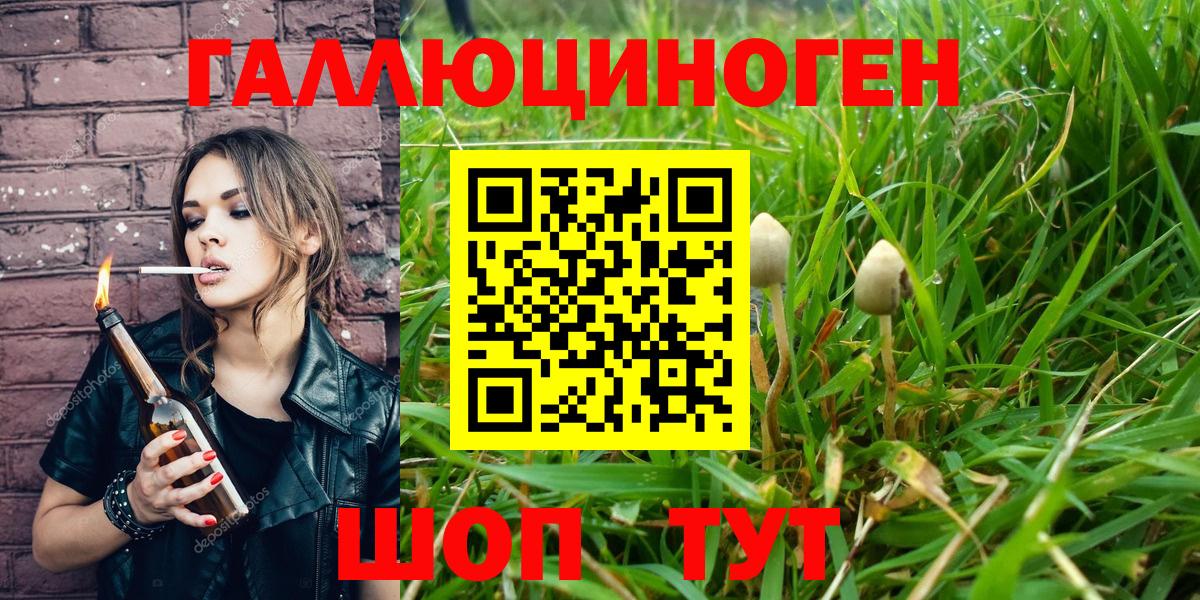 Псилоцибиновые грибы ЛСД  цены   Грозный  Вход с VPN 